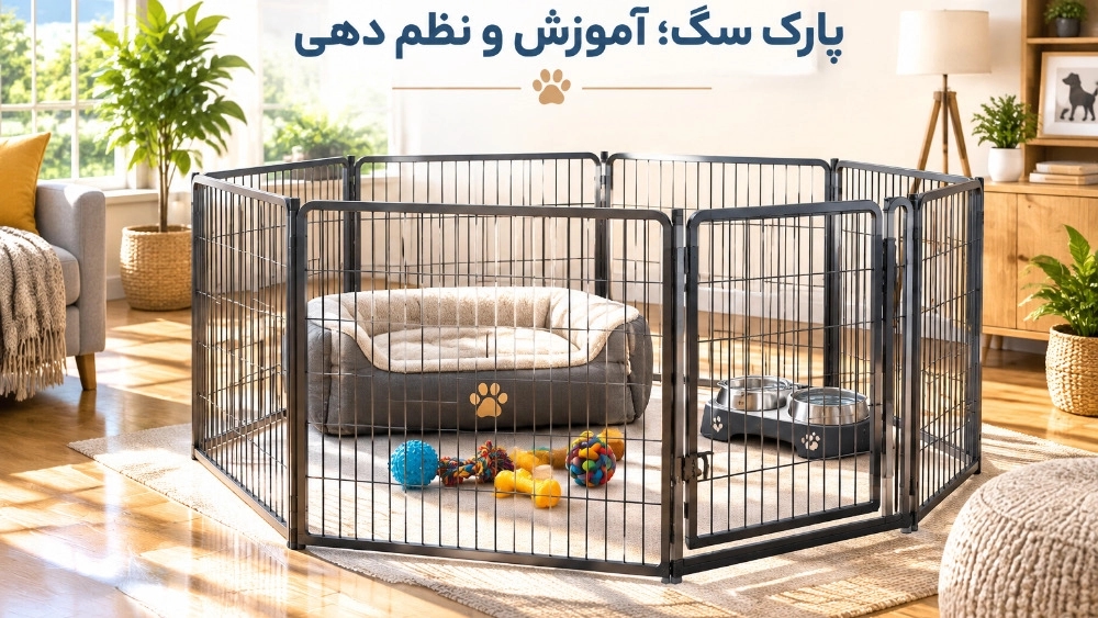 پارک سگ بهترین ابزار برای آموزش و نظم دهی به حیوانات خانگی