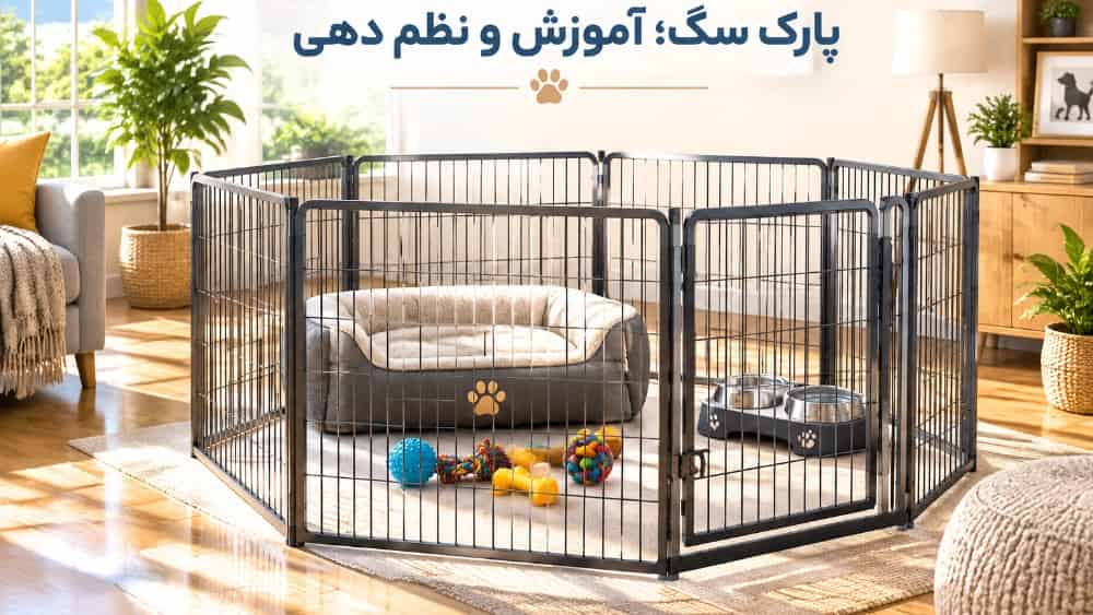 پارک سگ بهترین ابزار برای آموزش و نظم دهی به حیوانات خانگی